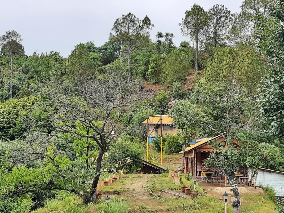 Mukteshwar Grand Retreat มุกเตชวาร์ ภายนอก รูปภาพ